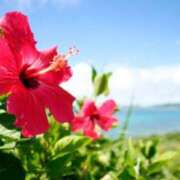 ヒメ日記 2025/06/28 07:43 投稿 並木まや 横浜プロダクション