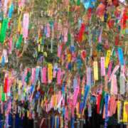 ヒメ日記 2025/06/29 07:00 投稿 並木まや 横浜プロダクション