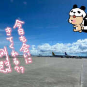 ヒメ日記 2025/08/31 08:00 投稿 並木まや 横浜プロダクション