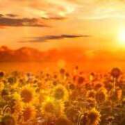 ヒメ日記 2025/09/06 09:29 投稿 並木まや 横浜プロダクション