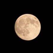 ヒメ日記 2025/10/07 10:05 投稿 並木まや 横浜プロダクション