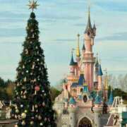 ヒメ日記 2025/11/05 09:00 投稿 並木まや 横浜プロダクション