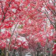 ヒメ日記 2025/11/12 07:45 投稿 並木まや 横浜プロダクション