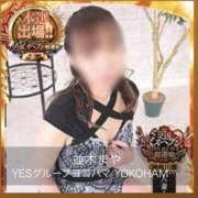 ヒメ日記 2025/11/12 13:19 投稿 並木まや 横浜プロダクション