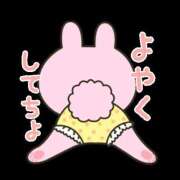 ヒメ日記 2025/12/06 07:31 投稿 並木まや 横浜プロダクション