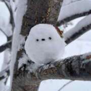 ヒメ日記 2026/01/26 20:17 投稿 並木まや 横浜プロダクション