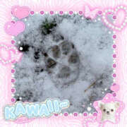 ヒメ日記 2026/02/09 07:45 投稿 並木まや 横浜プロダクション