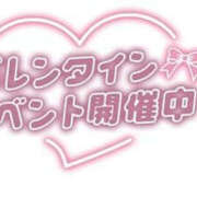 ヒメ日記 2026/02/14 11:24 投稿 並木まや 横浜プロダクション