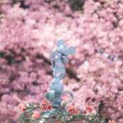 ヒメ日記 2026/03/02 07:41 投稿 並木まや 横浜プロダクション