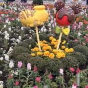 ヒメ日記 2026/03/10 20:31 投稿 並木まや 横浜プロダクション