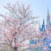 ヒメ日記 2026/04/03 09:45 投稿 並木まや 横浜プロダクション