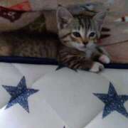 ヒメ日記 2025/05/31 12:42 投稿 ゆき【ドМな現役〇護師】 仙台大人の秘密倶楽部