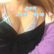 ヒメ日記 2025/02/26 14:47 投稿 ふうか ハピネス＆ドリーム福岡