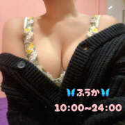 ヒメ日記 2025/04/16 10:18 投稿 ふうか ハピネス＆ドリーム福岡