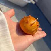 ヒメ日記 2024/12/15 09:02 投稿 みおり・SP アニバーサリー