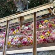 ヒメ日記 2025/05/10 07:01 投稿 みおり・SP アニバーサリー