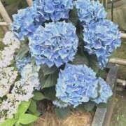 ヒメ日記 2025/05/27 19:53 投稿 みおり・SP アニバーサリー