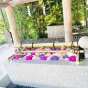 ヒメ日記 2025/05/29 17:33 投稿 みおり・SP アニバーサリー