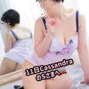 ヒメ日記 2025/06/14 22:28 投稿 ふみ 渋谷 風俗 奥様発情の会