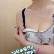 ヒメ日記 2025/07/30 11:06 投稿 ふみ 渋谷 風俗 奥様発情の会