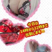 ヒメ日記 2026/01/26 12:17 投稿 ふみ 渋谷 風俗 奥様発情の会