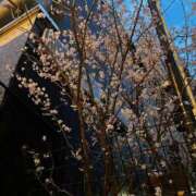 ヒメ日記 2026/03/11 00:02 投稿 ふみ 渋谷 風俗 奥様発情の会