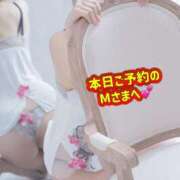 ヒメ日記 2026/04/08 12:43 投稿 ふみ 渋谷 風俗 奥様発情の会