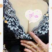 ヒメ日記 2025/11/11 11:10 投稿 柴崎りえこ ワイフコレクション