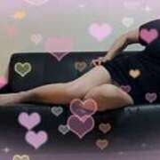 ヒメ日記 2026/02/27 11:32 投稿 柴崎りえこ ワイフコレクション