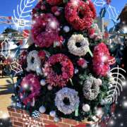 ヒメ日記 2024/12/16 15:35 投稿 柴崎りえこ 色気あるワイフ