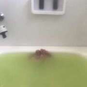 ヒメ日記 2026/01/20 21:40 投稿 るい モアグループ熊谷人妻花壇