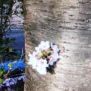 ヒメ日記 2025/01/30 15:20 投稿 山岸 錦糸町おかあさん