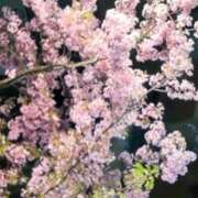 ヒメ日記 2025/06/04 20:50 投稿 山岸 錦糸町おかあさん