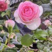 ヒメ日記 2025/08/01 08:40 投稿 山岸 錦糸町おかあさん