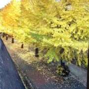 山岸 出勤 錦糸町おかあさん