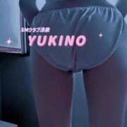 ヒメ日記 2025/03/01 06:45 投稿 ゆきの 涼泉（りょうせん）