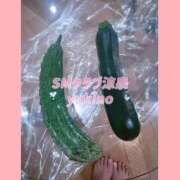 ヒメ日記 2025/06/03 19:25 投稿 ゆきの 涼泉（りょうせん）