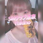 ヒメ日記 2025/06/20 17:01 投稿 ゆきの 涼泉（りょうせん）