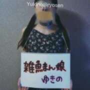 ヒメ日記 2025/08/18 07:30 投稿 ゆきの 涼泉（りょうせん）