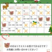 ヒメ日記 2025/11/28 19:30 投稿 ゆきの 涼泉（りょうせん）