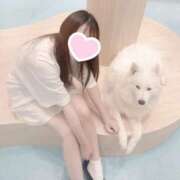 ヒメ日記 2025/08/22 16:12 投稿 愛園　はあと OL精薬