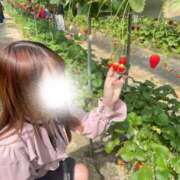 ヒメ日記 2025/04/30 21:05 投稿 ふうか 涼泉（りょうせん）