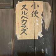 ヒメ日記 2025/06/03 11:32 投稿 ふうか 涼泉（りょうせん）