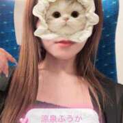 ヒメ日記 2025/09/08 17:23 投稿 ふうか 涼泉（りょうせん）