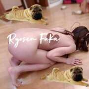 ヒメ日記 2025/11/14 12:30 投稿 ふうか 涼泉（りょうせん）