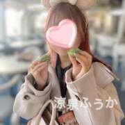 ヒメ日記 2025/11/21 12:30 投稿 ふうか 涼泉（りょうせん）