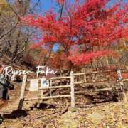 ヒメ日記 2025/11/22 12:31 投稿 ふうか 涼泉（りょうせん）