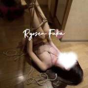 ヒメ日記 2025/11/30 22:38 投稿 ふうか 涼泉（りょうせん）