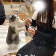 ヒメ日記 2025/12/22 12:30 投稿 ふうか 涼泉（りょうせん）