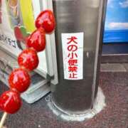 ヒメ日記 2026/01/06 12:31 投稿 ふうか 涼泉（りょうせん）